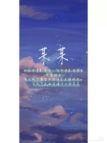 深入了解 小辣椒导航